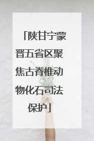 陕甘宁蒙晋五省区聚焦古脊椎动物化石司法保护