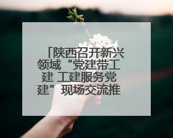 陕西召开新兴领域“党建带工建 工建服务党建”现场交流推进会