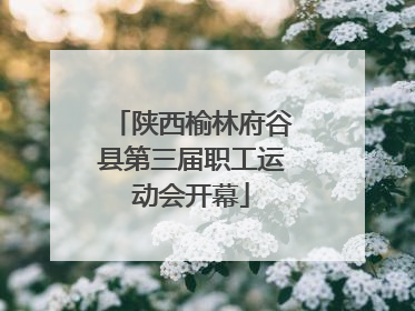 陕西榆林府谷县第三届职工运动会开幕