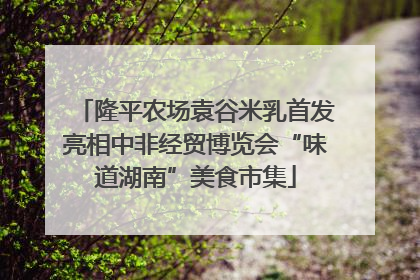 隆平农场袁谷米乳首发亮相中非经贸博览会“味道湖南”美食市集