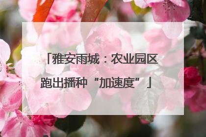 雅安雨城：农业园区跑出播种“加速度”