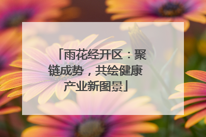 雨花经开区：聚链成势，共绘健康产业新图景