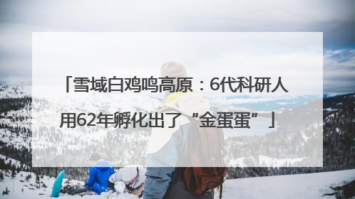 雪域白鸡鸣高原：6代科研人用62年孵化出了“金蛋蛋”