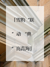 雪豹“跃”动 “典”亮青海