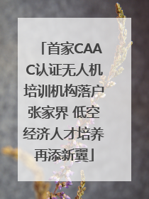 首家CAAC认证无人机培训机构落户张家界 低空经济人才培养再添新翼