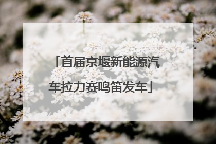 首届京堰新能源汽车拉力赛鸣笛发车