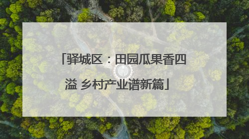 驿城区：田园瓜果香四溢 乡村产业谱新篇