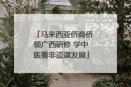 马来西亚侨商侨领广西研修 学中医看非遗谋发展