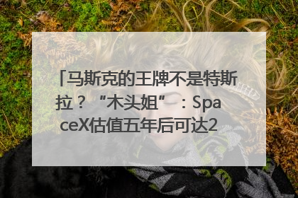 马斯克的王牌不是特斯拉？“木头姐”：SpaceX估值五年后可达2.5万亿美元！