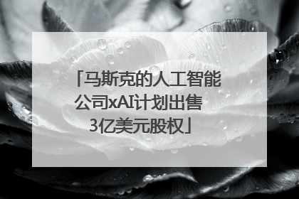 马斯克的人工智能公司xAI计划出售3亿美元股权