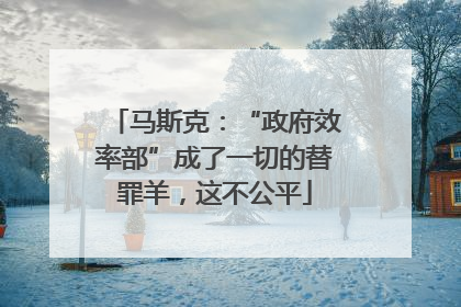 马斯克：“政府效率部”成了一切的替罪羊，这不公平