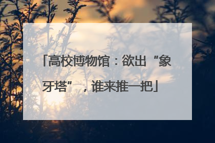 高校博物馆：欲出“象牙塔”，谁来推一把