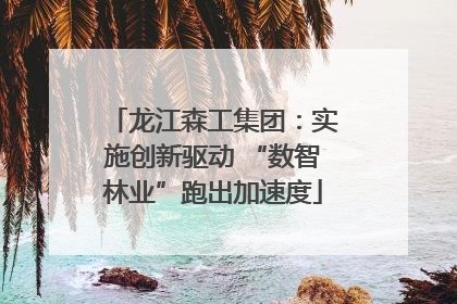 龙江森工集团：实施创新驱动 “数智林业”跑出加速度