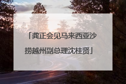 龚正会见马来西亚沙捞越州副总理沈桂贤