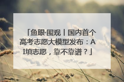鱼眼·围观丨国内首个高考志愿大模型发布：AI填志愿，靠不靠谱？