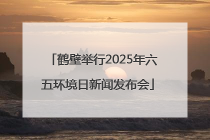 鹤壁举行2025年六五环境日新闻发布会