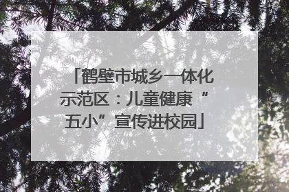 鹤壁市城乡一体化示范区：儿童健康“五小”宣传进校园