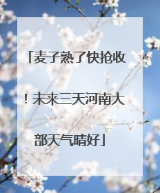 麦子熟了快抢收！未来三天河南大部天气晴好