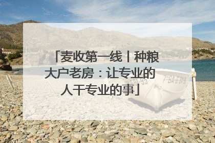 麦收第一线丨种粮大户老房：让专业的人干专业的事