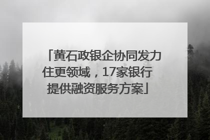 黄石政银企协同发力住更领域，17家银行提供融资服务方案