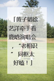 黄子韬徐艺洋牵手看鹿晗演唱会，“老相识” 同框太好嗑！