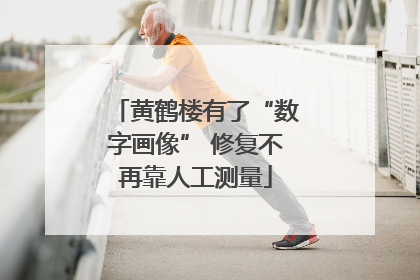 黄鹤楼有了“数字画像” 修复不再靠人工测量