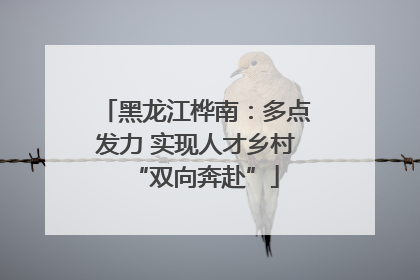 黑龙江桦南：多点发力 实现人才乡村“双向奔赴”
