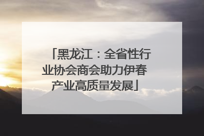 黑龙江：全省性行业协会商会助力伊春产业高质量发展