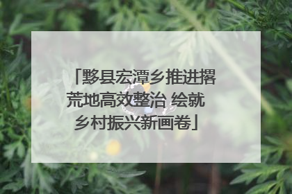 黟县宏潭乡推进撂荒地高效整治 绘就乡村振兴新画卷