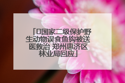 ﻿国家二级保护野生动物误食鱼钩被送医救治 郑州惠济区林业局回应