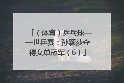 （体育）乒乓球——世乒赛：孙颖莎夺得女单冠军（6）