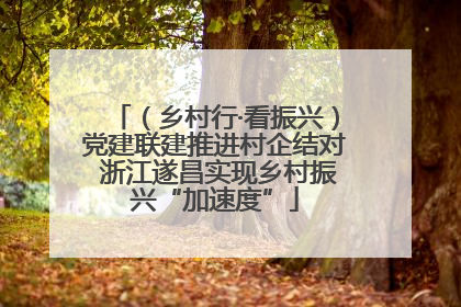 （乡村行·看振兴）党建联建推进村企结对 浙江遂昌实现乡村振兴“加速度”