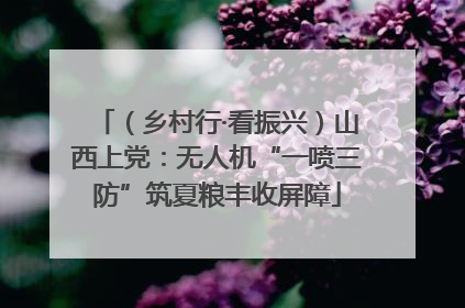 （乡村行·看振兴）山西上党：无人机“一喷三防”筑夏粮丰收屏障