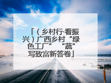 （乡村行·看振兴）广西乡村“绿色工厂” “蔬”写致富新答卷