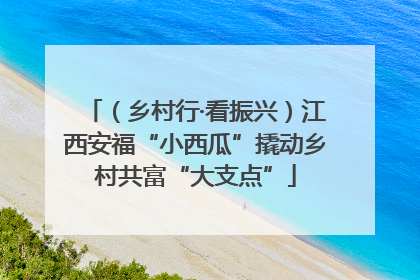 （乡村行·看振兴）江西安福“小西瓜”撬动乡村共富“大支点”