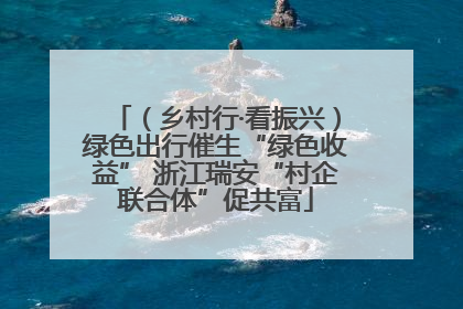 （乡村行·看振兴）绿色出行催生“绿色收益” 浙江瑞安“村企联合体”促共富