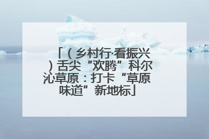 （乡村行·看振兴）舌尖“欢腾”科尔沁草原：打卡“草原味道”新地标