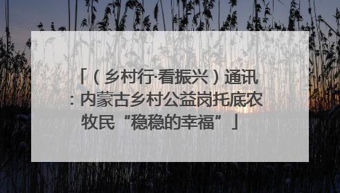 （乡村行·看振兴）通讯：内蒙古乡村公益岗托底农牧民“稳稳的幸福”