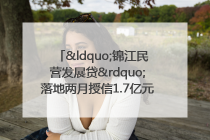 “锦江民营发展贷”落地两月授信1.7亿元，惠及118家民企