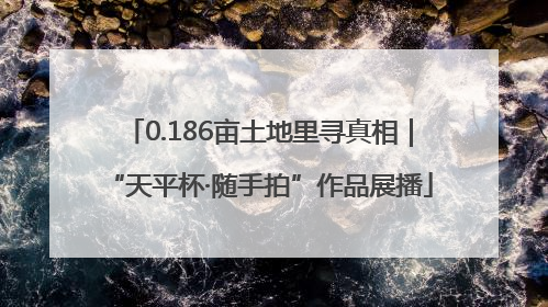 0.186亩土地里寻真相｜“天平杯·随手拍”作品展播