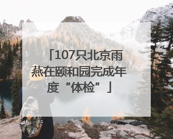 107只北京雨燕在颐和园完成年度“体检”