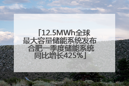 12.5MWh全球最大容量储能系统发布 合肥一季度储能系统同比增长425%