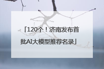 120个！济南发布首批AI大模型推荐名录