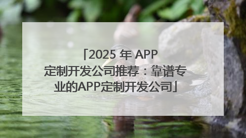 2025 年 APP 定制开发公司推荐：靠谱专业的APP定制开发公司