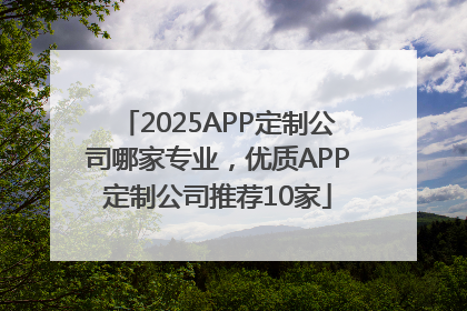 2025APP定制公司哪家专业，优质APP定制公司推荐10家