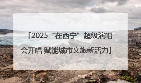 2025“在西宁”超级演唱会开唱 赋能城市文旅新活力