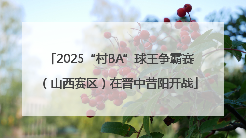 2025“村BA”球王争霸赛（山西赛区）在晋中昔阳开战