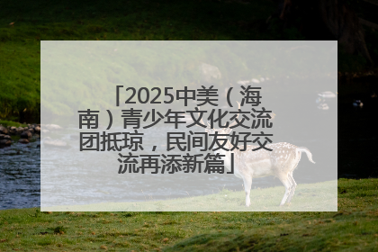 2025中美（海南）青少年文化交流团抵琼，民间友好交流再添新篇
