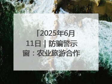 2025年6月11日｜防骗警示窗：农业旅游合作社以高息设局，集资380万