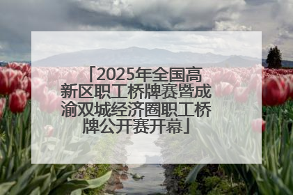 2025年全国高新区职工桥牌赛暨成渝双城经济圈职工桥牌公开赛开幕